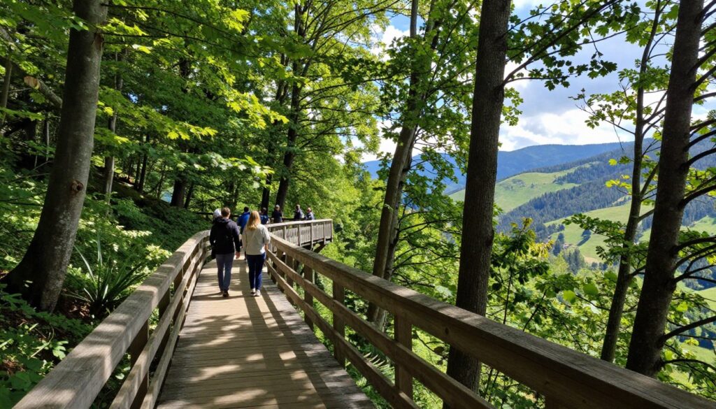 A scenic tree canopy walkway in Ždiar, Slovakia, showcasing wooden paths winding among towering green trees. In the foreground, a weathered wooden railing lines the walkway, providing depth. The middle ground features visitors strolling along the path, dressed in modest casual clothing, admiring the lush foliage above. Sunbeams filter through the leaves, creating dappled light patterns on the trail. The background reveals rolling hills, rich in greenery, with a distant view of the Tatra Mountains under a bright blue sky. The mood is tranquil and serene, evoking a sense of adventure and connection with nature. The perspective is slightly elevated, resembling a bird's-eye view, highlighting the natural beauty and wonder of the treetop experience.