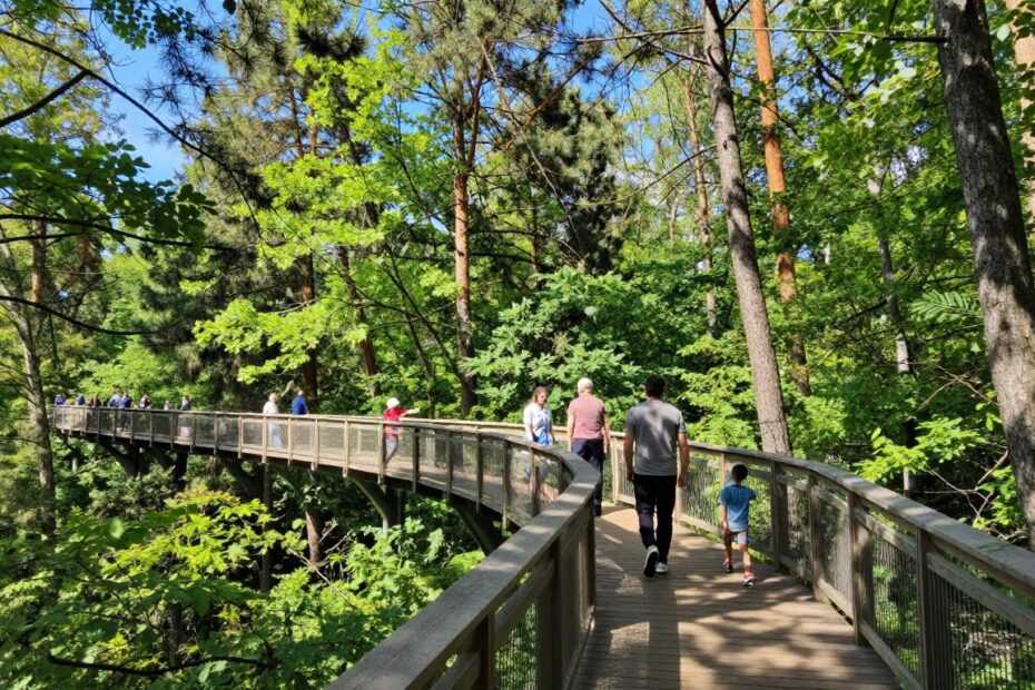Spacer w koronach drzew Pomiechówek
